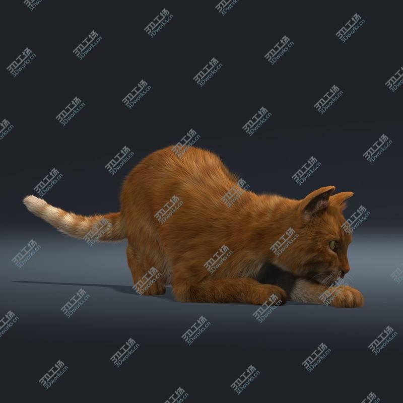 images/goods_img/20210319/Cat (Orange Tabby) (FUR) (ANIMATED)/4.jpg